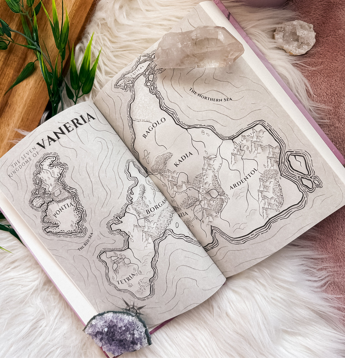 The Kingdom’s Reckoning: Hardcover