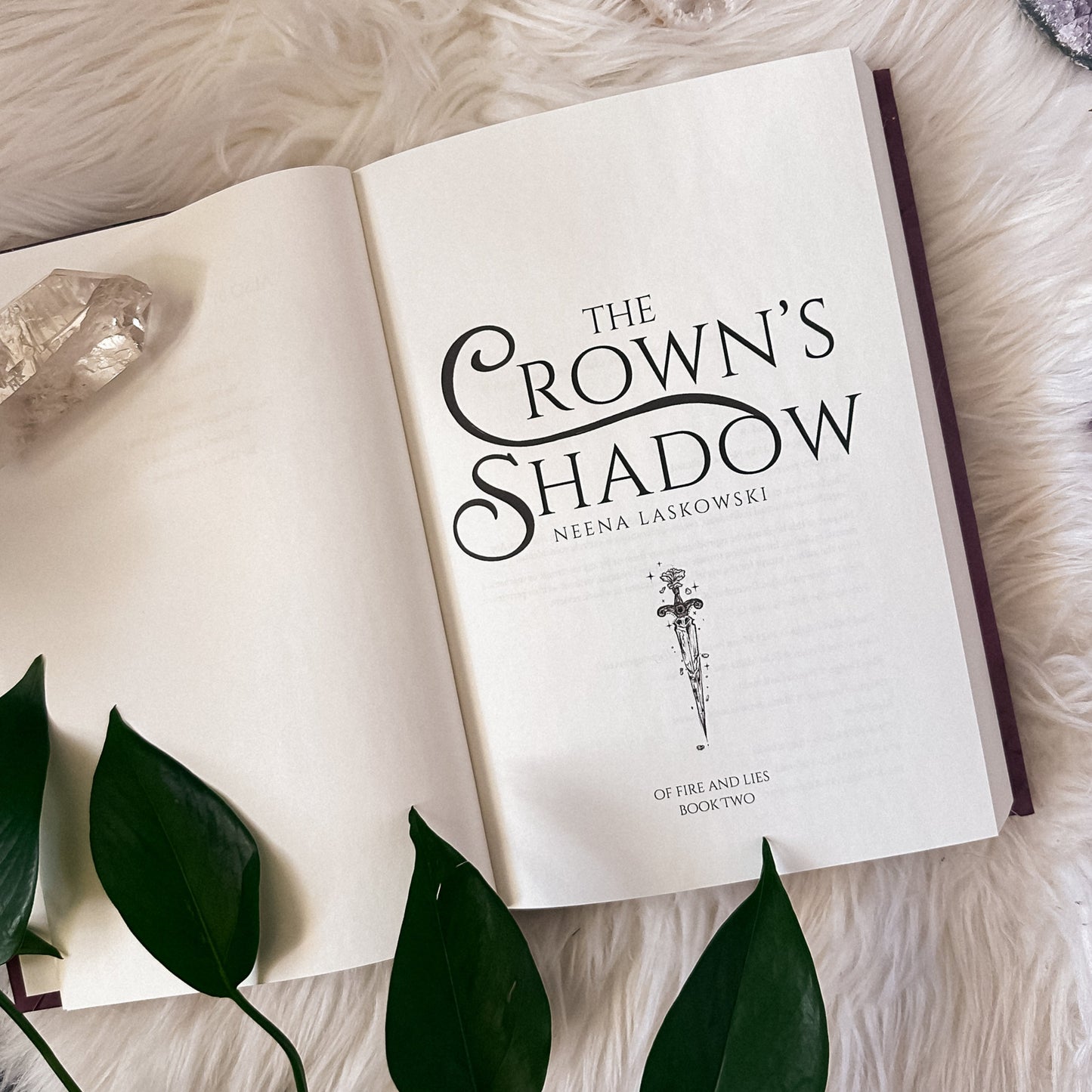 The Crown's Shadow: Hardcover