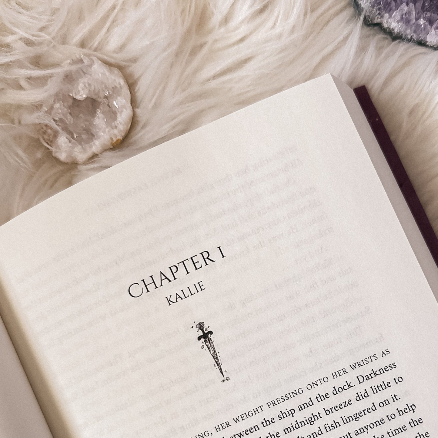The Crown's Shadow: Hardcover