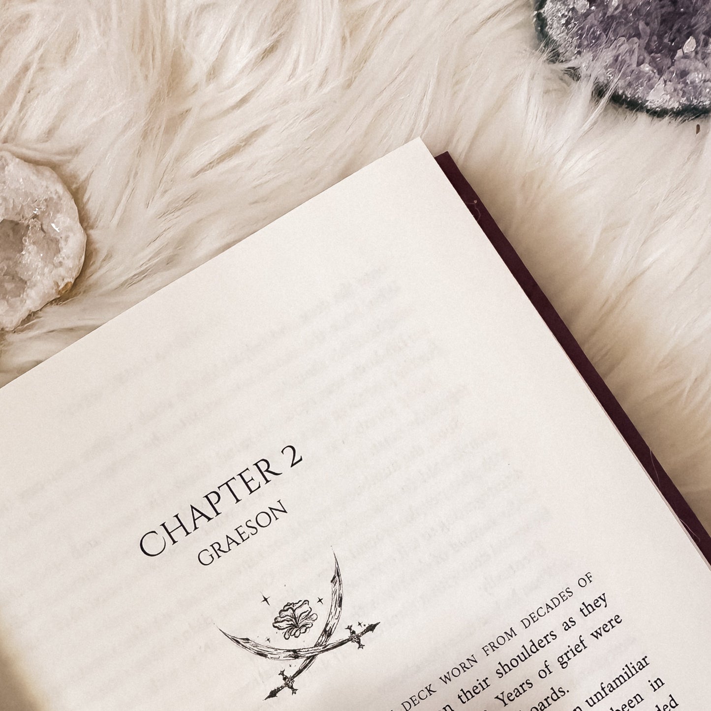 The Crown's Shadow: Hardcover